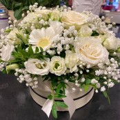 White Sophistication